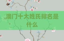 澳门十大姓氏排名是什么
