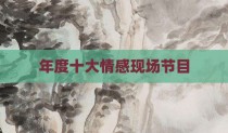 年度十大情感现场节目
