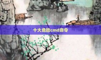 十大危险cmd命令
