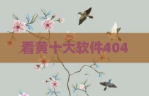 看黄十大软件404