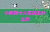 小碗肉十大名菜是什么肉