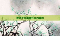 考试十大类考什么内容的