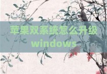 苹果双系统怎么升级windows