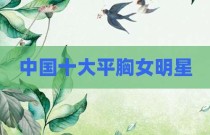 中国十大平胸女明星
