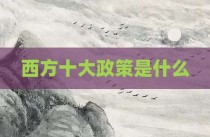 西方十大政策是什么