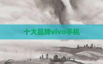 十大品牌vivo手机