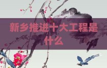 新乡推进十大工程是什么