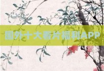 国外十大看片福利APP