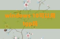 windows 10可以用tgp吗
