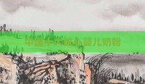 中国十大放心婴儿奶粉