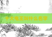 十大电王叫什么名字