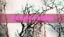 丹比奴鞋子十大品牌吗