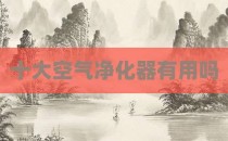 十大空气净化器有用吗