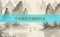 十大阎王分别叫什么