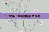 快手十大神曲是什么歌曲