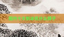 国内十大制冰机什么牌子
