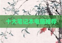 十大笔记本电脑推荐