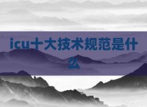 icu十大技术规范是什么