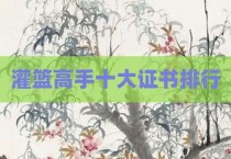 灌篮高手十大证书排行