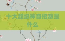十大超级神奇招数是什么