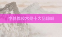 中林橡胶木是十大品牌吗