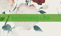服装十大谎话是什么品牌
