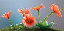 阿华十大名花是什么