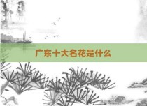 广东十大名花是什么