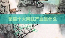 聚焦十大网红产业是什么