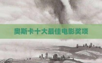 奥斯卡十大最佳电影奖项