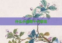 什么小说有十大校花