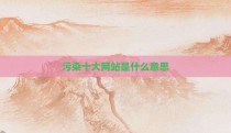 污染十大网站是什么意思