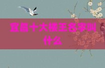 宜昌十大楼王名字叫什么