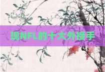 现NFL的十大外接手