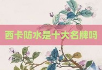西卡防水是十大名牌吗