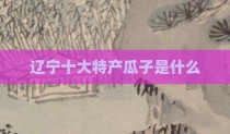 辽宁十大特产瓜子是什么