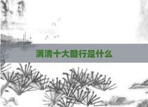满清十大酷行是什么
