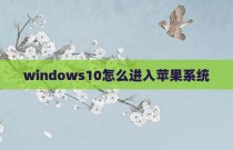 windows10怎么进入苹果系统