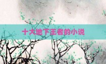 十大地下王者的小说