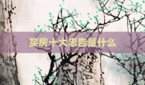 买房十大忠告是什么