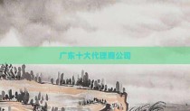 广东十大代理商公司