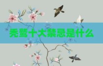 秃鹫十大禁忌是什么