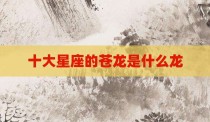 十大星座的苍龙是什么龙