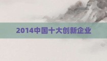 2014中国十大创新企业