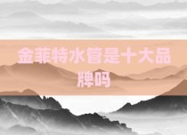 金菲特水管是十大品牌吗