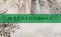 吸引猫的十大方法是什么