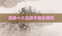 能躺十大品牌手推轮椅吗