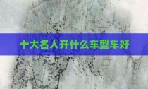 十大名人开什么车型车好