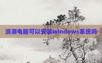 浪潮电脑可以安装windows系统吗