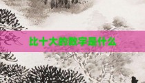比十大的数字是什么